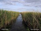 Nationalpark Vorpommersche Boddenlandschaf