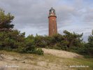 Nationalpark Vorpommersche Boddenlandschaf