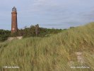 Nationalpark Vorpommersche Boddenlandschaf