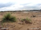 Nationalpark Zuid-Kenemerland