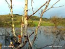 Nationalpark Zuid-Kenemerland