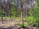 Poleski Nationalpark