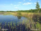 Poleski Nationalpark