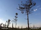 Poleski Nationalpark