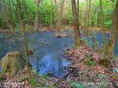 Poleski Nationalpark