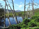 Schottland, Glen Cannich