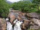 Schottland, Strathconon Forest