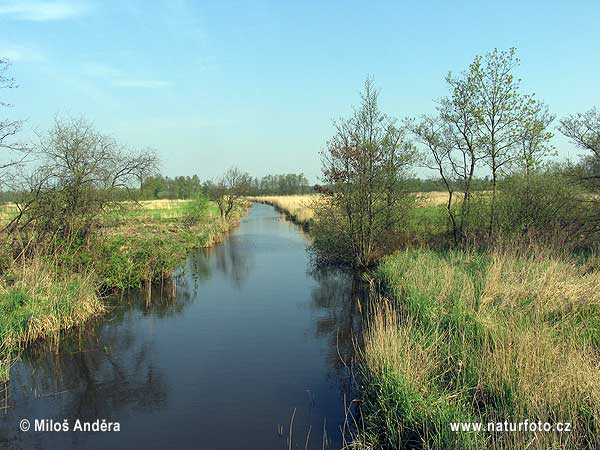 Nationalpark De Weerribben (NL)