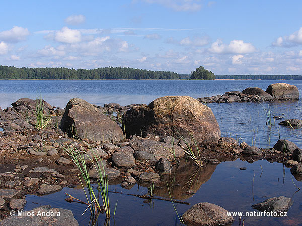 Nationalpark Liesjärvi (F)