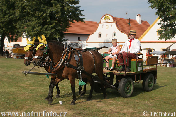 Die Feste in dem Dorf Holasovice (Holfest)