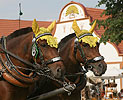 Die Feste in dem Dorf Holasovice