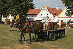 Die Feste in dem Dorf Holasovice