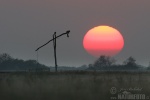 Nationalpark Hortobagy - die Puszta