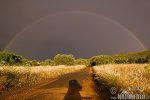 Regenbogen