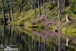 Stubenbacher See