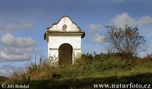 Kapelle (Capella)