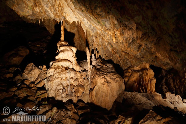 Karsthöhle (Caver)