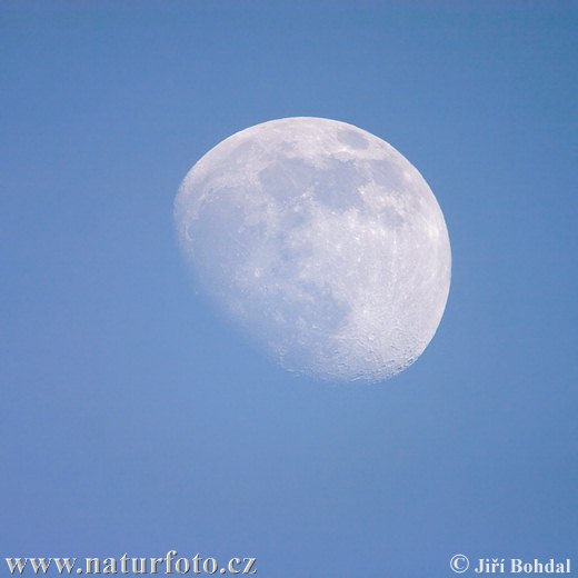 Mond (Luna)