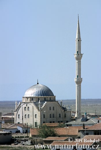 Resim