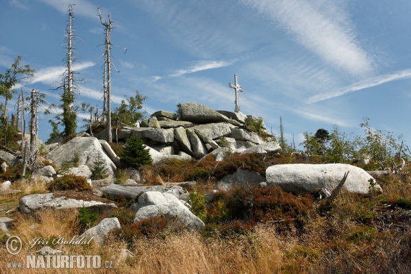 Plöckenstein (Sum)