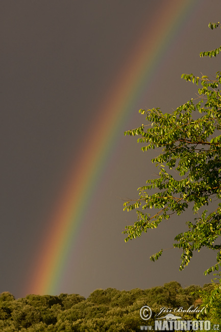 Regenbogen (Sky 1)