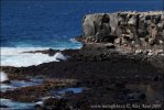 Galapagos - Espanola