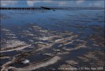 Nationalpark Schleswig-Holsteinisches Wattenmeer