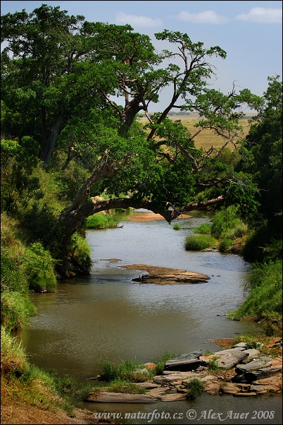 Talek River (KA)