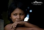 Embera