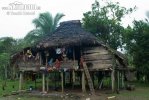 Embera