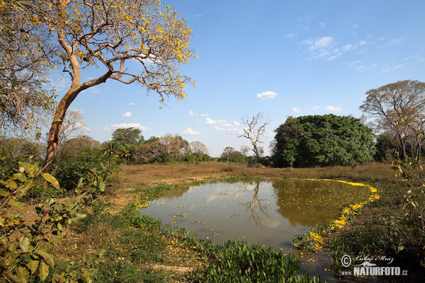 Brasiilien (Brasil, BR)