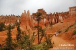 Bryce Canyon