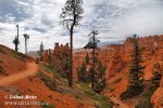 Bryce Canyon