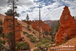 Bryce Canyon