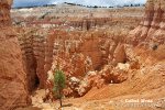 Bryce Canyon