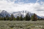 Grand Teton