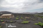 Lanzarote, Kanarischen Inseln