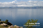 Ohrid See