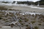 Yellowstone, Geysir