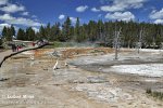 Yellowstone, Geysir