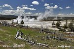 Yellowstone, Geysir