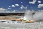 Yellowstone, Geysir