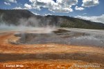 Yellowstone, Geysir