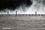 Yellowstone, Geysir