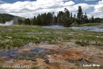 Yellowstone, Geysir