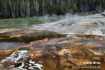 Yellowstone, Geysir