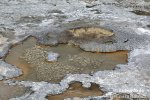 Yellowstone, Geysir