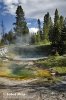 Yellowstone, Geysir