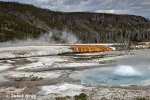 Yellowstone, Geysir