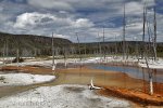 Yellowstone, Geysir